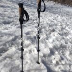 Hiking trek poles on trail to Mount Greylock MA