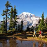 Two hikers with backpacks and trekking poles walk along a grassy trail toward a snowy, forested mountain backdrop.