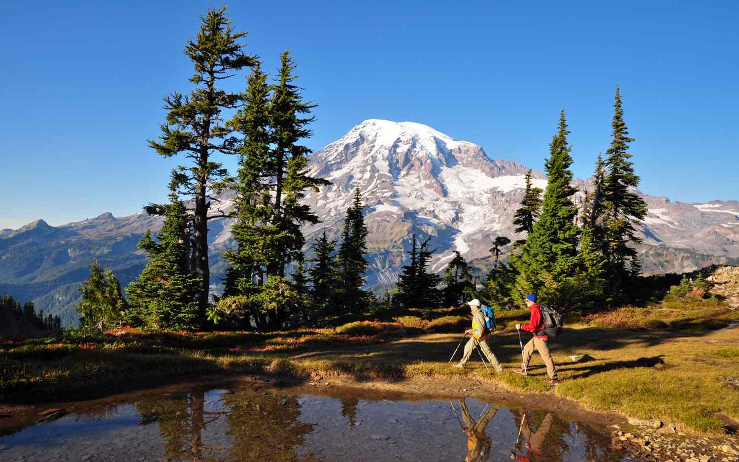 10 Easy National Park Hikes With Insane Views (Beginner Friendly)