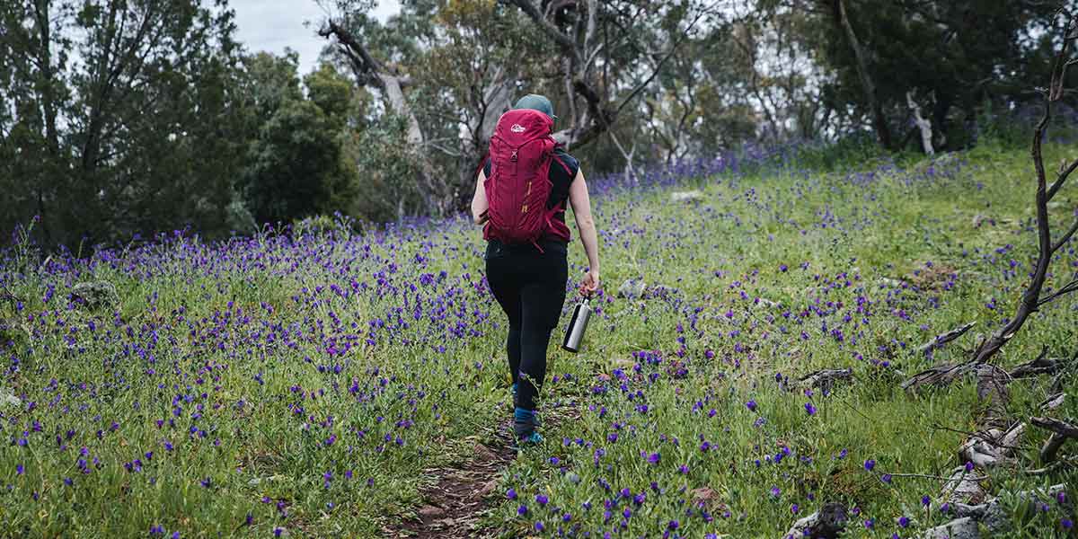 National Parks vs State Parks: Where Should You Hike?