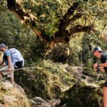 Top National Park Hikes Under 5 Miles
