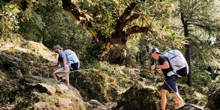 Top National Park Hikes Under 5 Miles